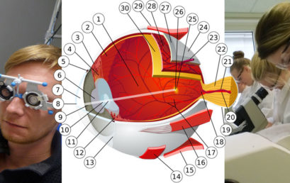 Vorbereitungslehrgang Augenoptik